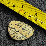 Polished Thumb Stone