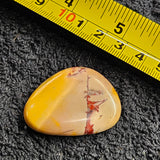 Polished Thumb Stone