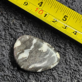 Polished Thumb Stone