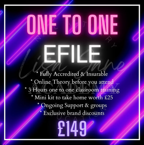 EFILE ONE TO ONE TRAINING