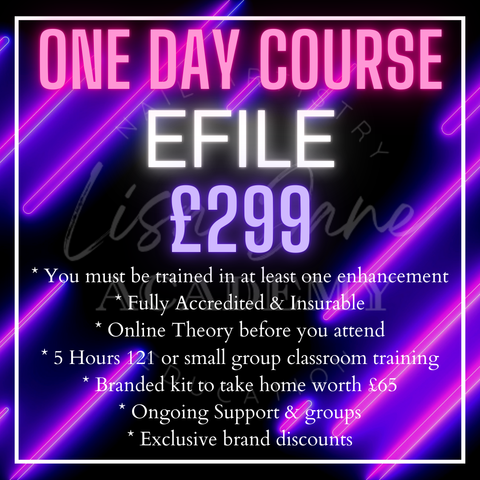 EFILE 1 DAY TRAINING